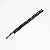 Черный кожаный ошейник с золотистой фурнитурой