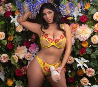 Мастурбатор Fleshlight Girls Violet Myers Waifu копия вагины