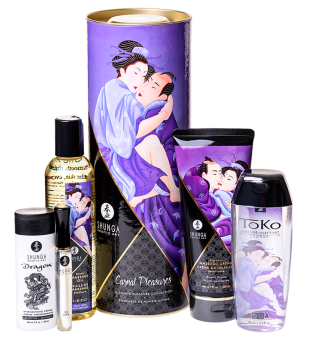 Подарочный набор косметики Shunga Carnal Pleasure Kit Плотские утехи