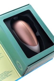 Вакуумный клиторальный стимулятор Satisfyer Pro Deluxe