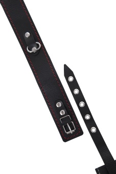 Кожаный двухслойный ошейник с красной строчкой и поводком