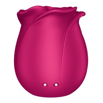 Вакуумный стимулятор Satisfyer Pro 2 Classic Blossom с дополнительной насадкой розовый Вакуумный стимулятор Satisfyer Pro 2 Classic Blossom с дополнительной насадкой розовый