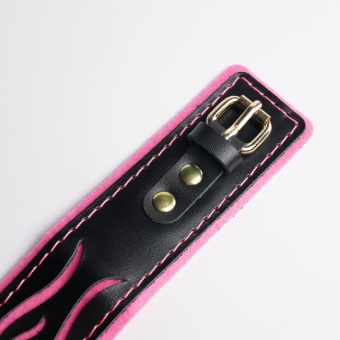 Черно-розовый ошейник с золотистой фурнитурой