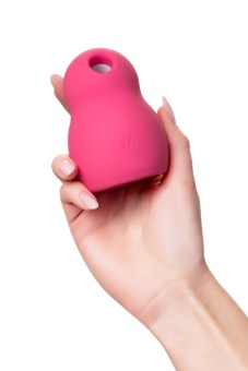 Вакуумный вибростимулятор Satisfyer Pro To Go 1 малиновый