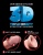 Фаллоимитатор с мошонкой на присоске King Cock Triple Density 16,5 см телесный