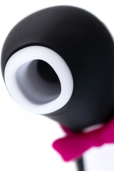 Вакуумный клиторальный стимулятор Satisfyer Pro Penguin Next Generation