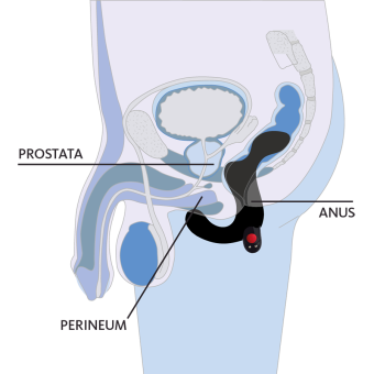 Вибростимулятор простаты Fun Factory Duke бирюзовый Вибростимулятор простаты Fun Factory Duke бирюзовый